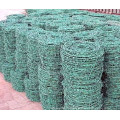 Professional Hot Dipped Galvanized Barbed Wire Fence